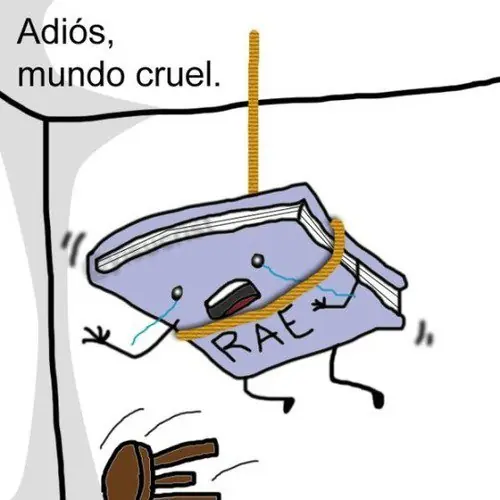 mi cuenta reg donde esta mi cuenta reg