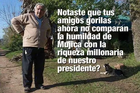 mi cuenta reg donde esta mi cuenta reg
