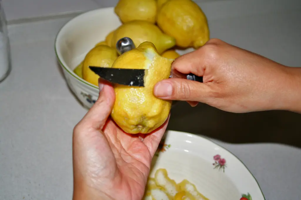 taringuero