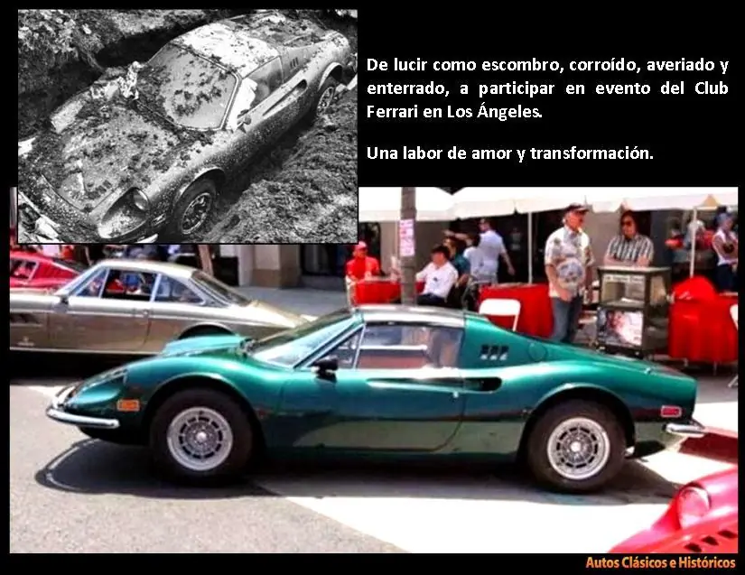No creerás lo que encontraron en el jardín de su casa No creerás lo que encontraron en el jardín de su casa