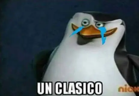 mi cuenta reg donde esta mi cuenta reg