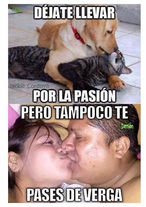 humor