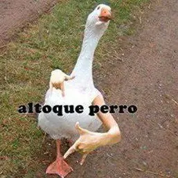 mi cuenta reg donde esta mi cuenta reg
