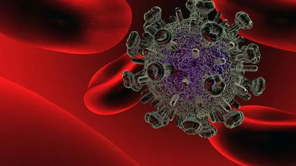 Comienza la investigación de una terapia génica
