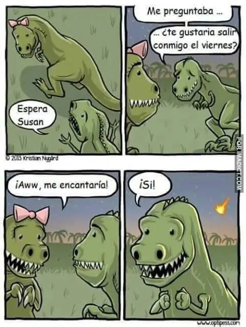 mondongo