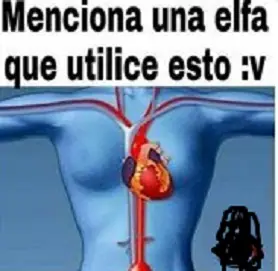 choripaneada