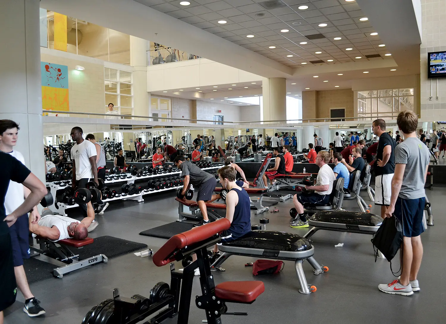 Papa de gym Papa de gym