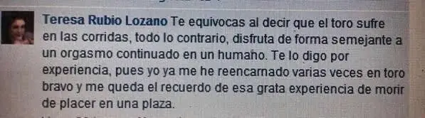 imagenes divertidas