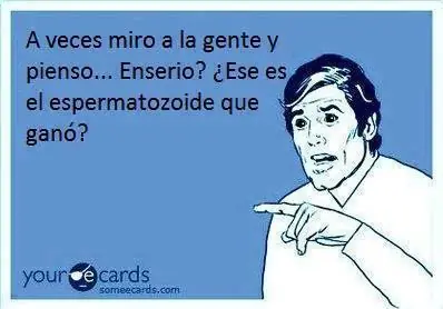 imagenes divertidas