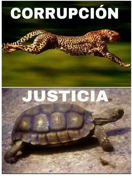humor de Miercoles
