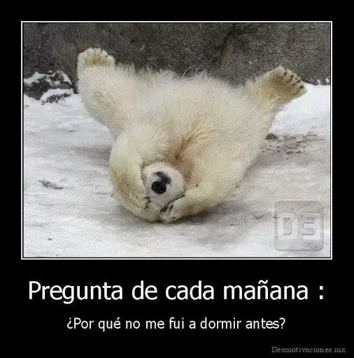 imagenes divertidas