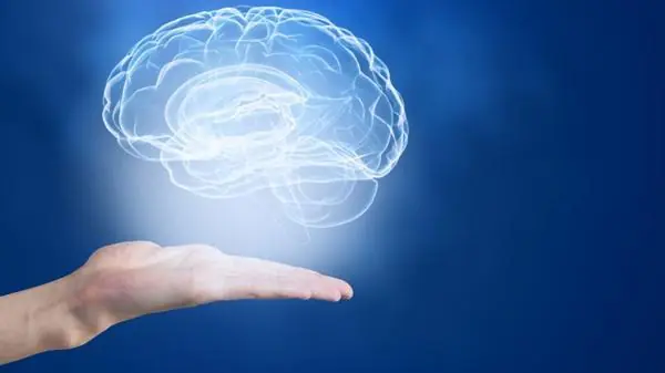 Descubrieron que el cerebro sigue creciendo en la adultez