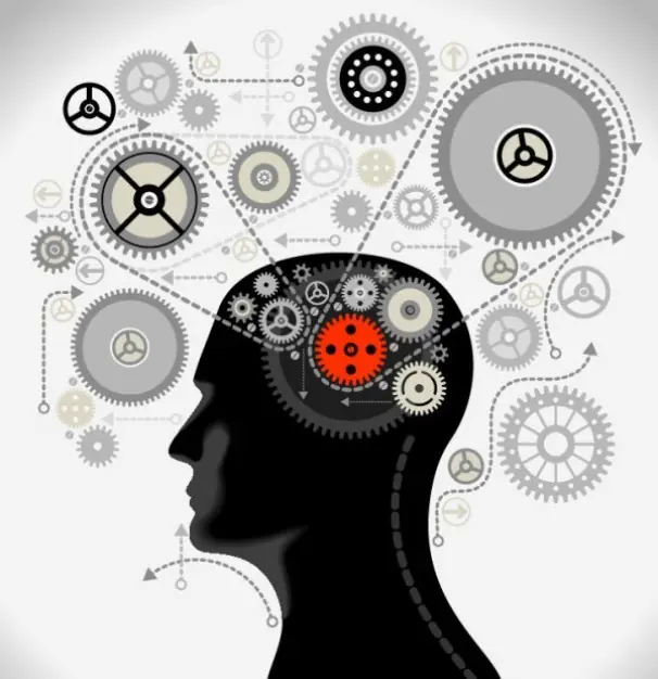 Asi decide el cerebro lo que es importante