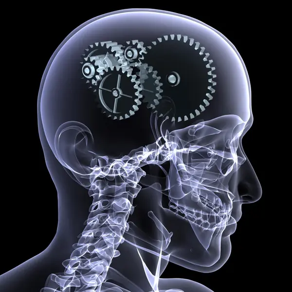Asi decide el cerebro lo que es importante