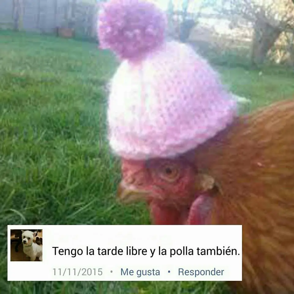 manana
