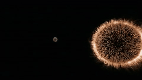 big bang