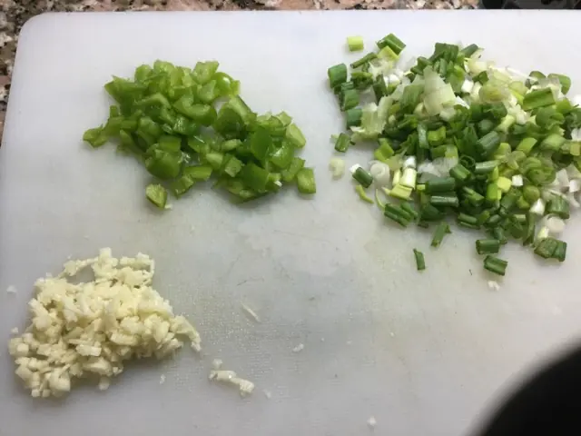 vegetariano vegetariano