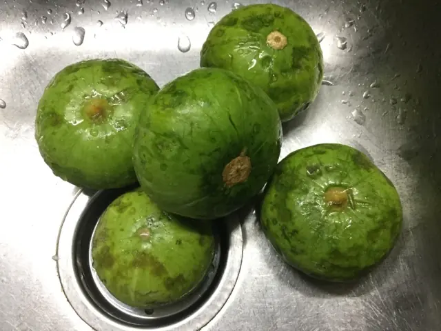 vegano vegano