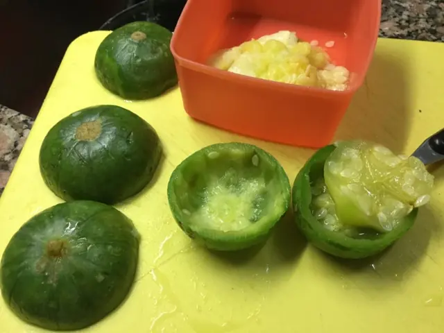 vegetarian vegetarian