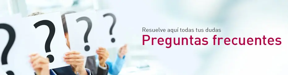desarrollador web