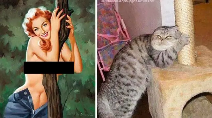 humor