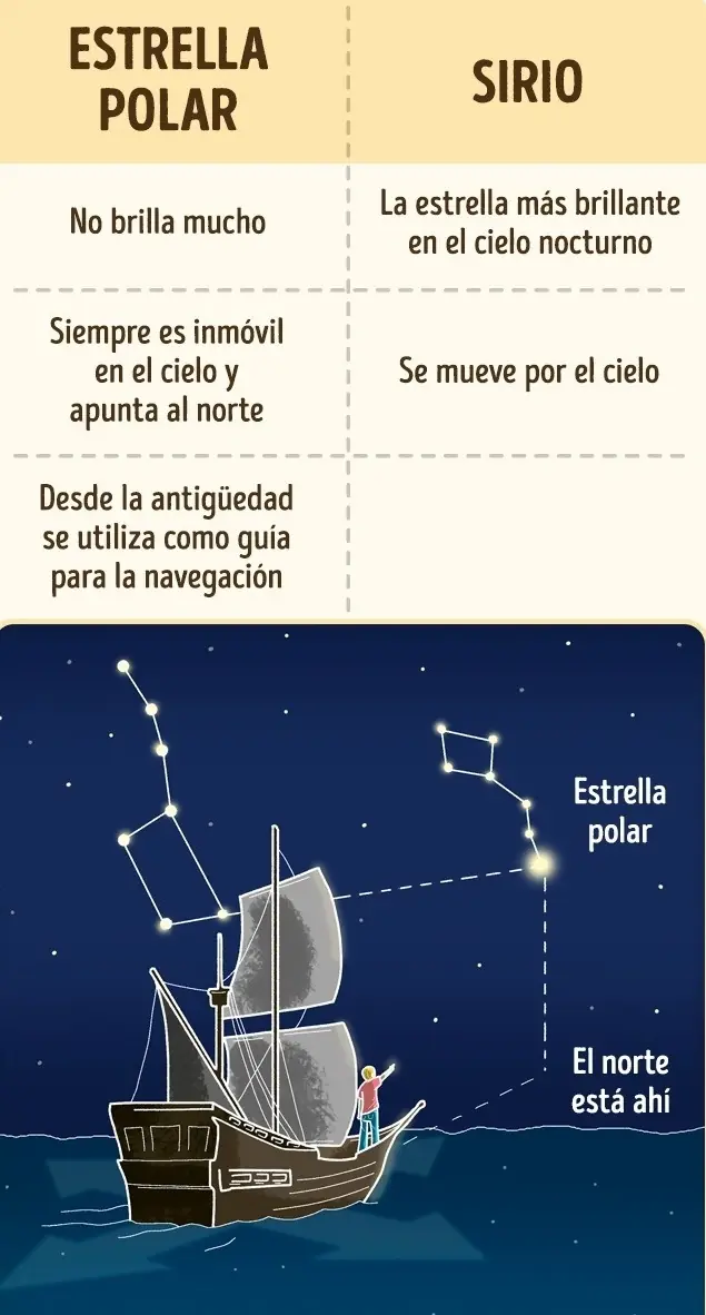 8 Sencillas cosas que confundimos desde la escuela.