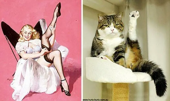 chicas pin up