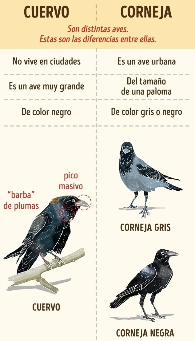 info