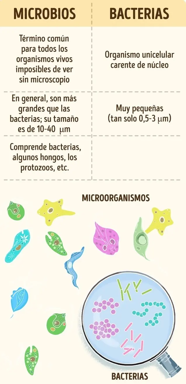 datos