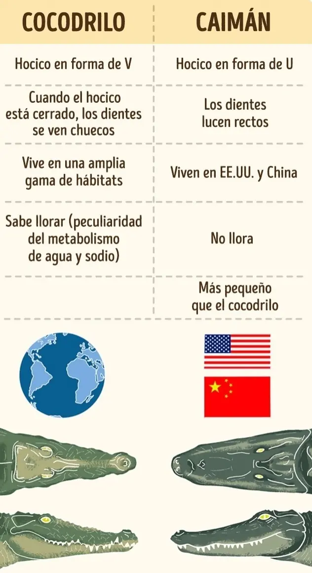 info