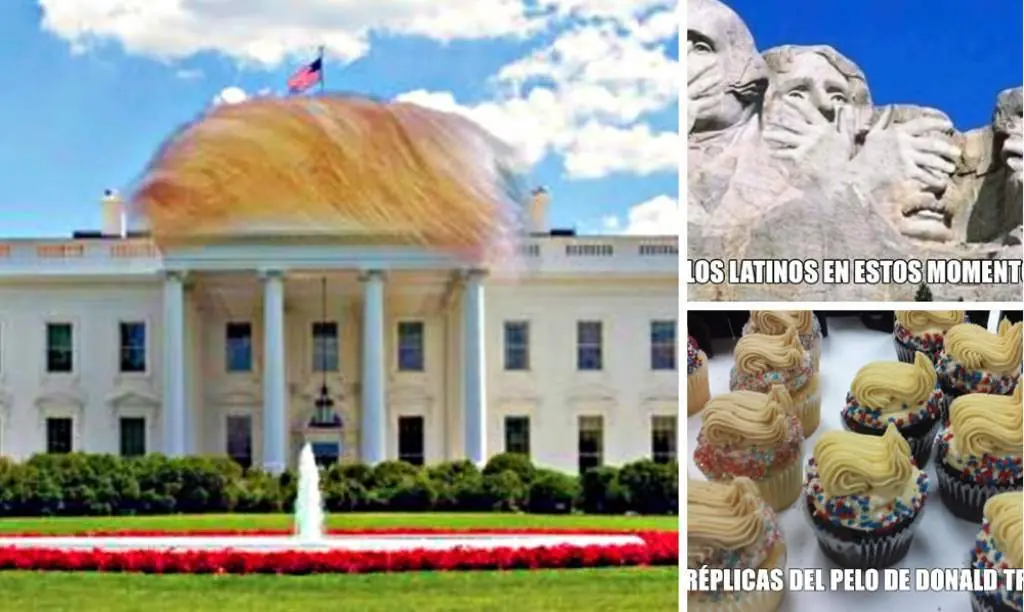 donald