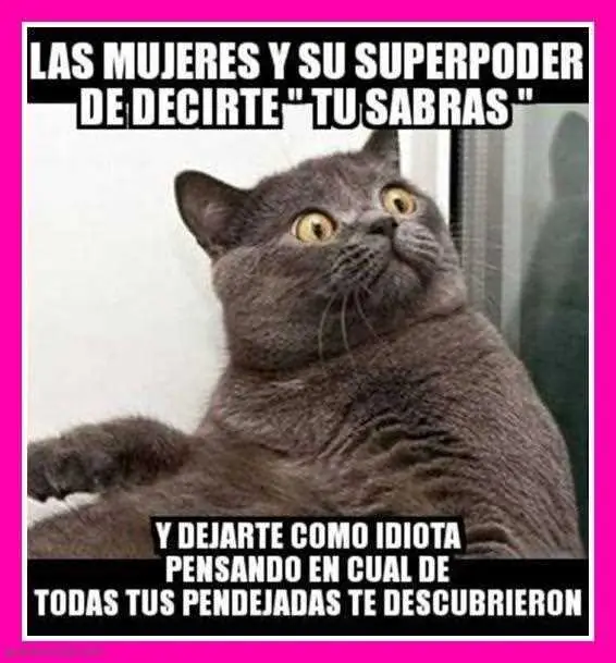 y nada mas
