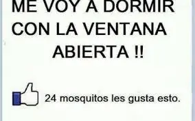 memes giles