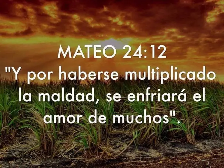 ayuda