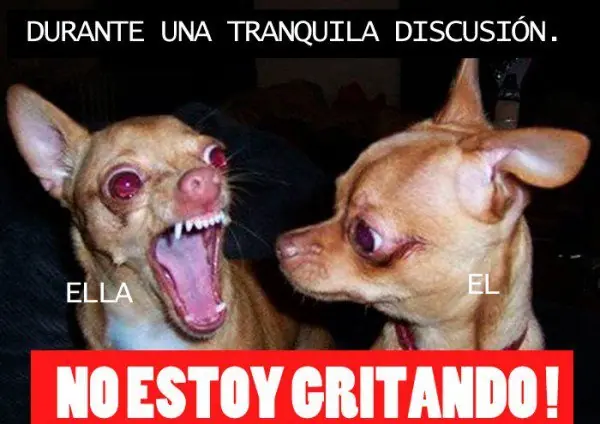 den puntos papus