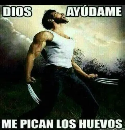 aburrido papu?aqui tenes memes