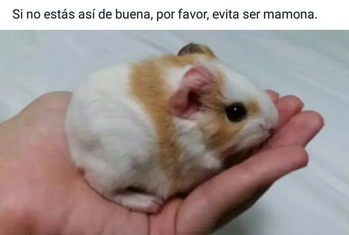 humor mexicano