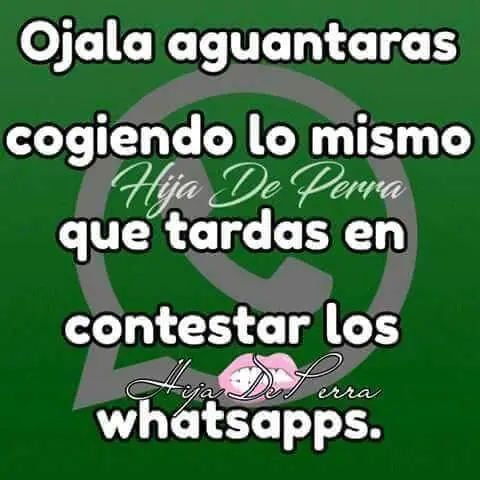 imagenes chistosas