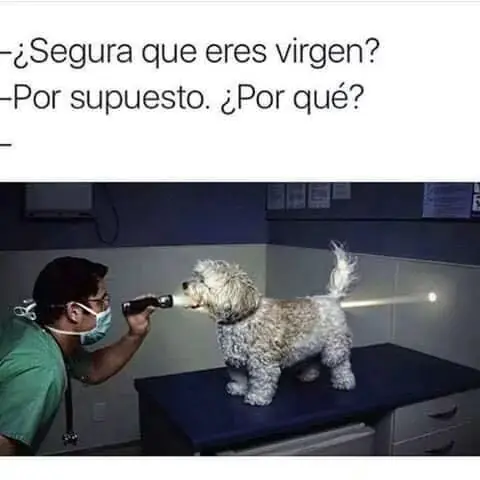 humor chileno