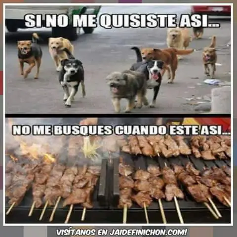 memes