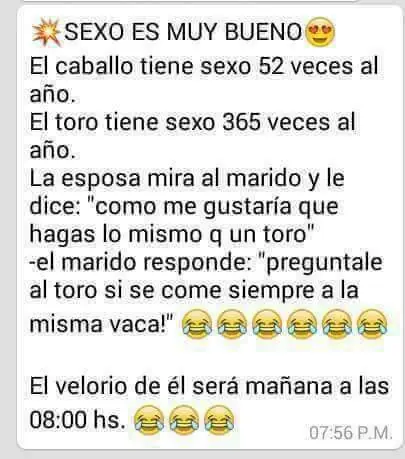 imagenes chistosas
