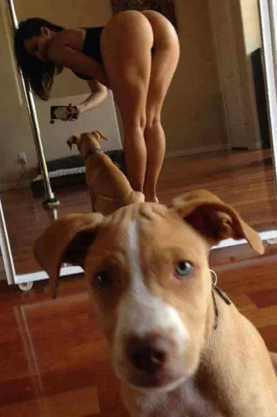 imagenes chistosas
