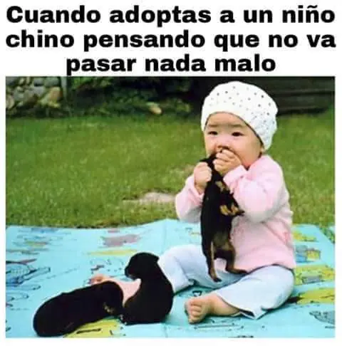 imagenes chistosas