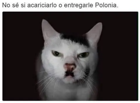humor negro