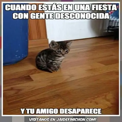 risa