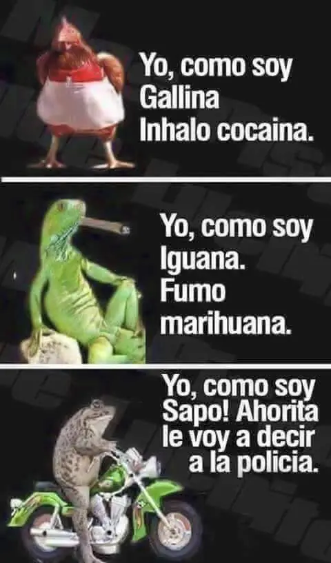 imagenes chistosas