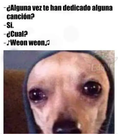 humor negro