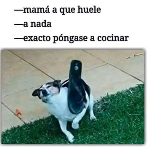 humor negro