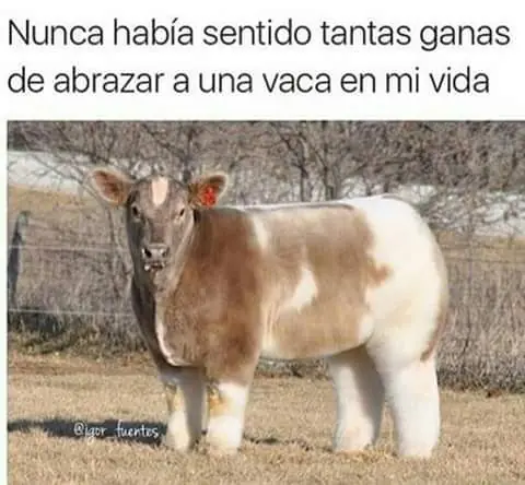 humor chileno