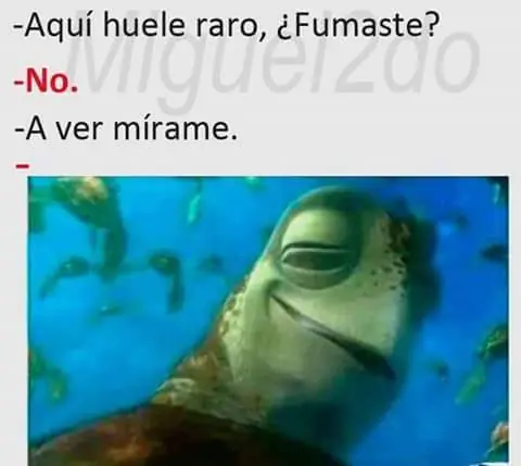 risa